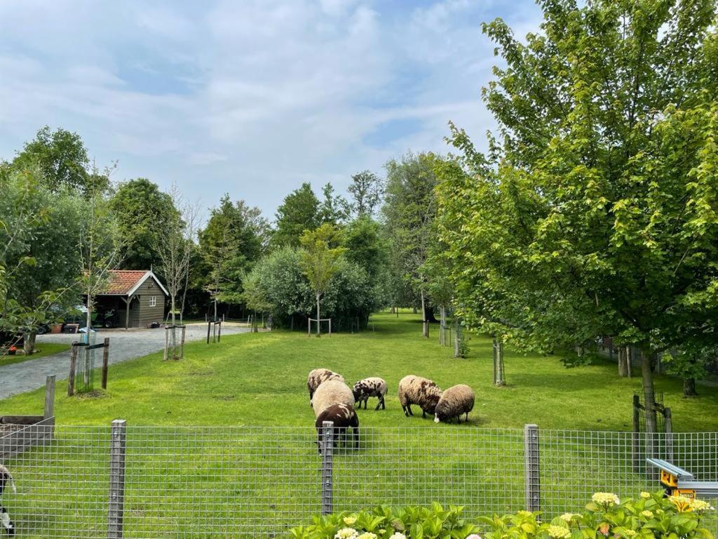 Flora'S B&B Landsmeer Exterior photo